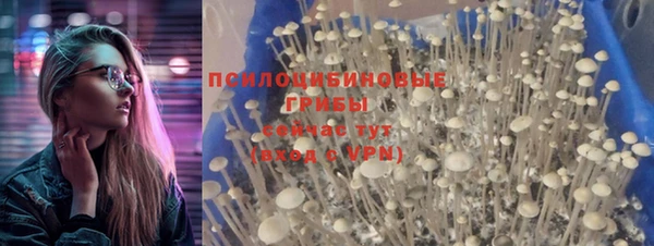а пвп мука Нижний Тагил